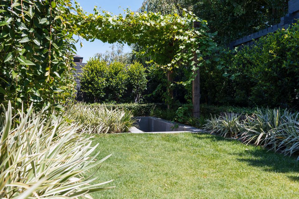 Garden detail with bluestone edging