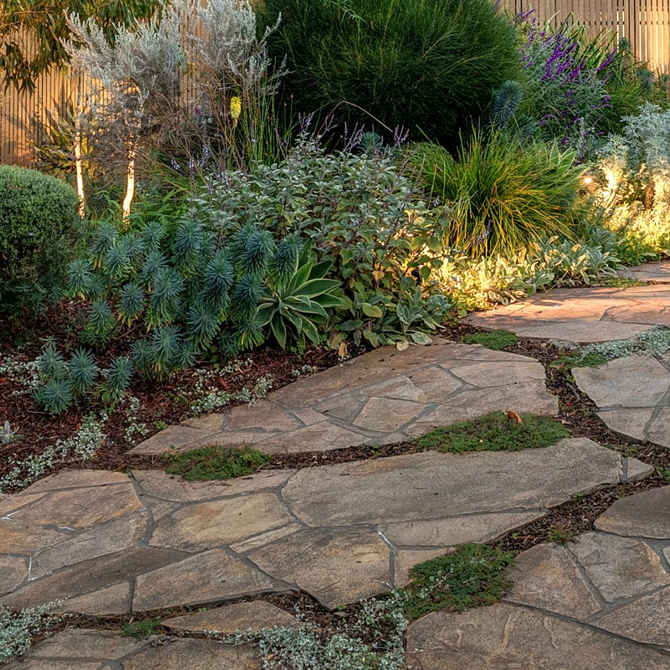 Sandstone path between garden beds of grasses, salvias and silver foliage