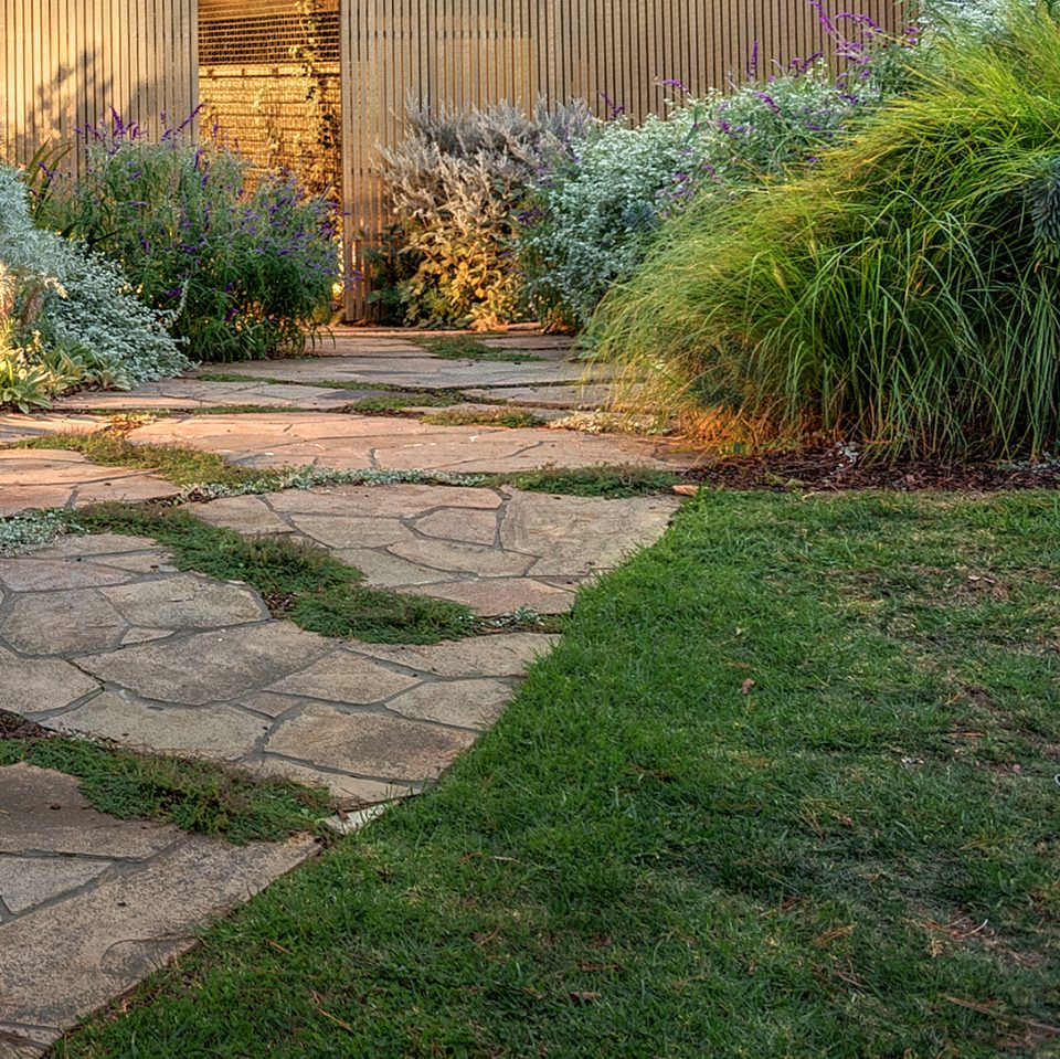 Curved lawn threading between planted beds and a stone path
