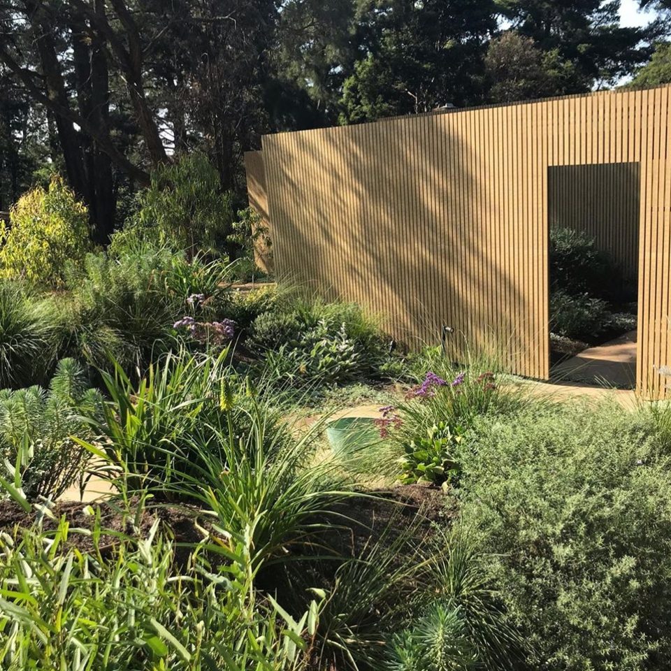 Timber-battened studio wall behind massed grasses and shrubs