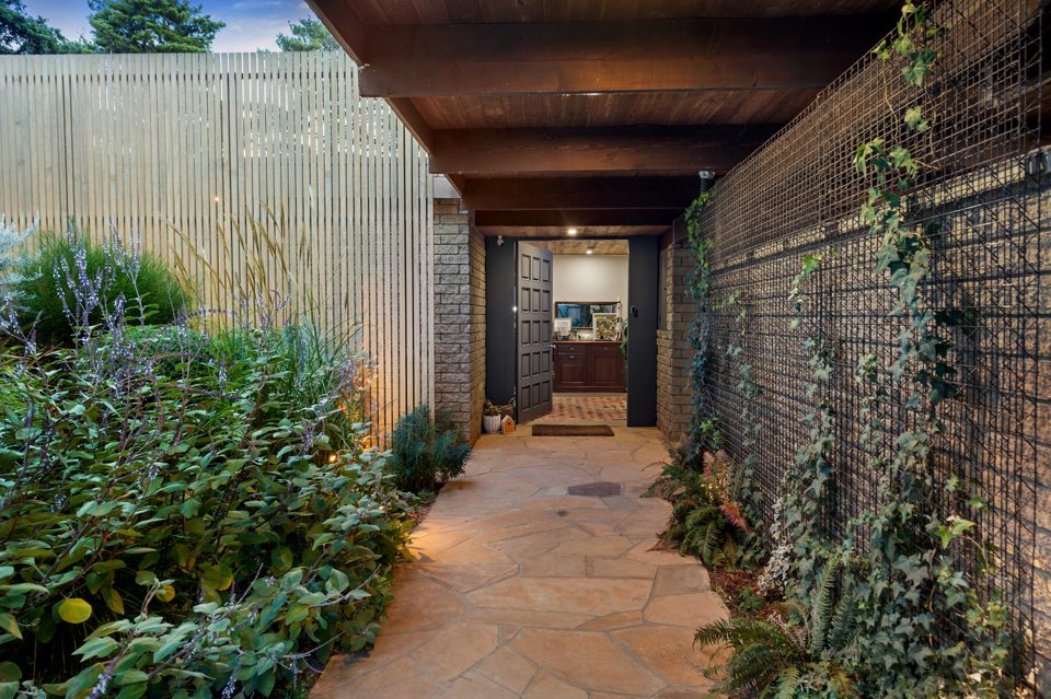 Brick side path with climbing greenery on a dark brick wall