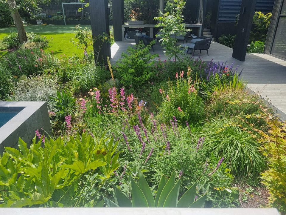 Perennial planting knitting into the lawn edge beside the deck